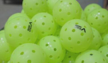 Pennsylvania man cuts pickleball nets at parks after injury "ruined" his summer, police say