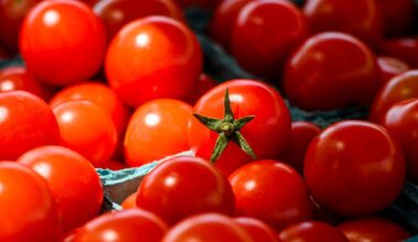 Enjoying local farm fresh produce in the sunshine photos