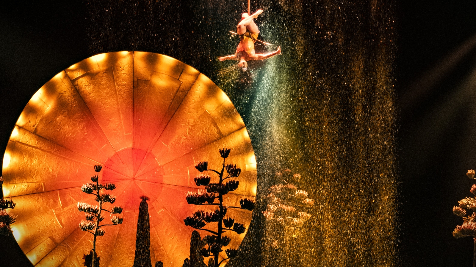 Cirque du Soleil LUZIA makes its Montgomery County debut