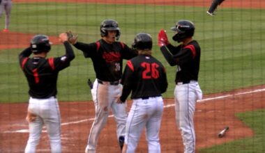 Peck homers in third straight game as SeaWolves top Baysox 5-1