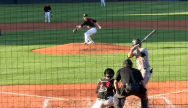 SeaWolves fall 12-3 at home to Baysox