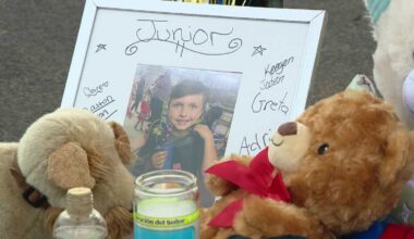 Pennsylvania boy killed in hit-and-run, charges held for trial
