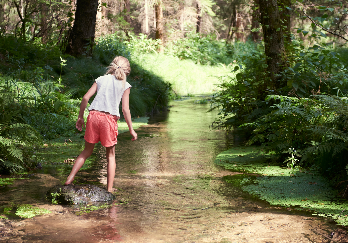 wading in creeks is fun in erie pa in summer