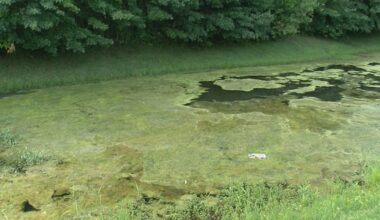 New report shows progress in effort to reduce Lake Erie algal blooms