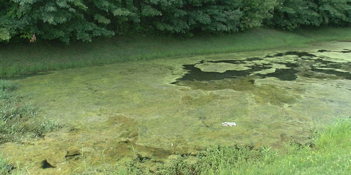 New report shows progress in effort to reduce Lake Erie algal blooms