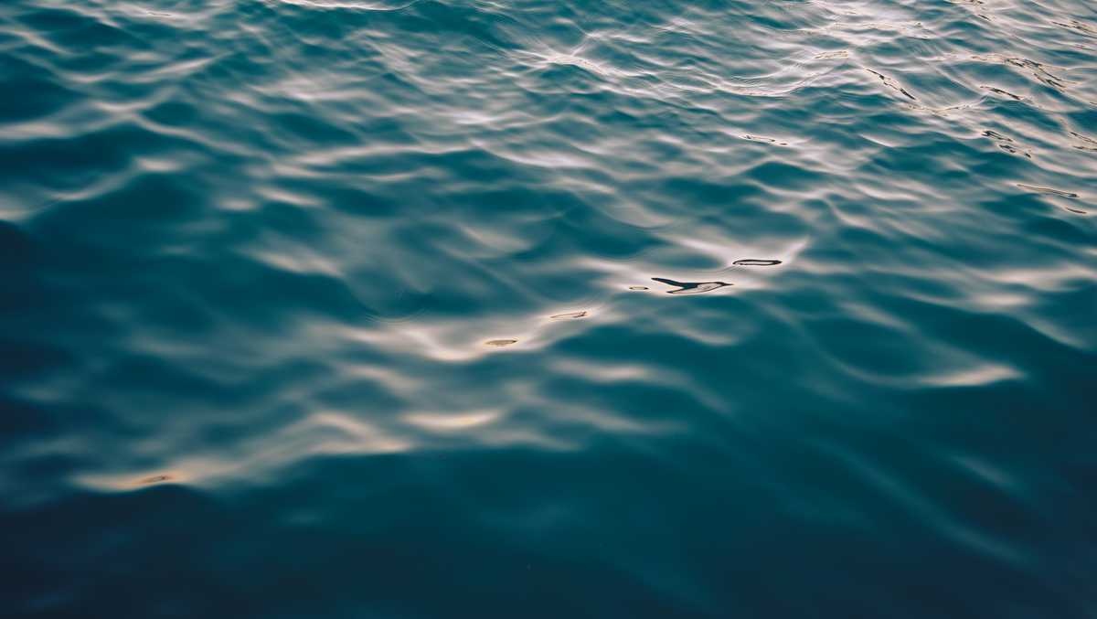 Pa. teen accidentally drowns after jumping into creek, coroner says