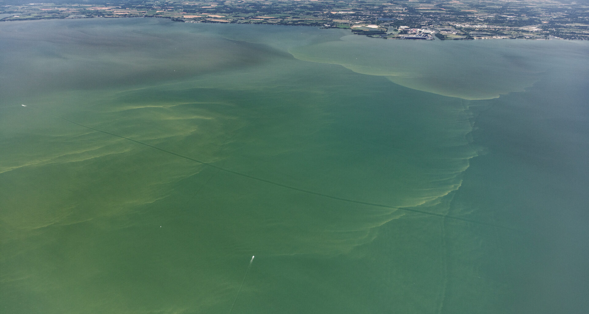 Lake Erie Harmful Algal Bloom 03/01/2019