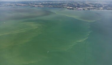Lake Erie Harmful Algal Bloom 03/01/2019