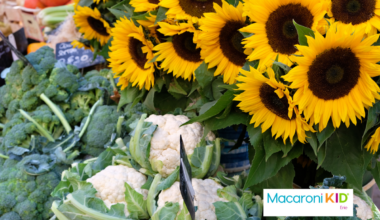 Best Erie Farmers Markets for Fresh Produce, Local Food & Family Fun