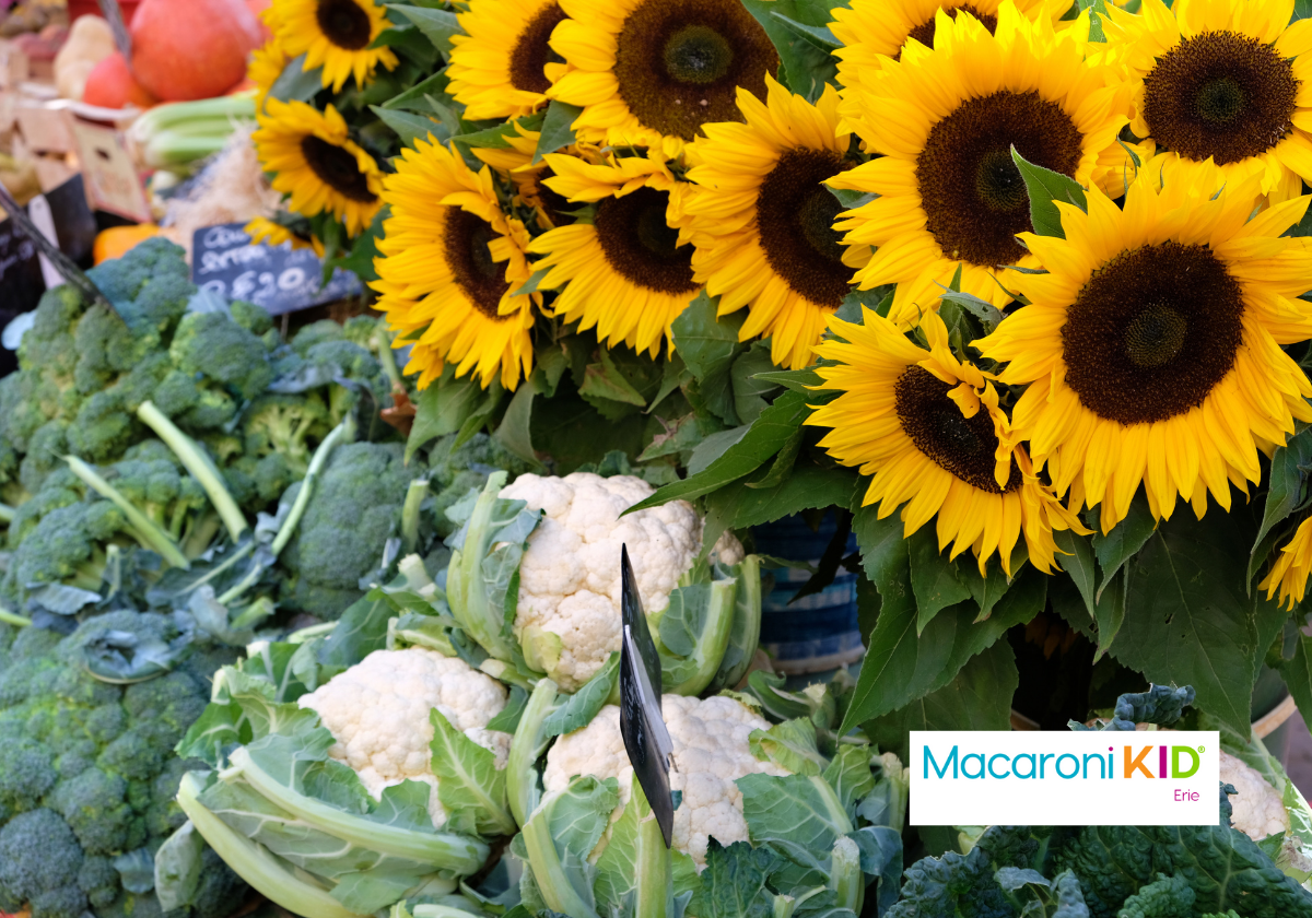 Best Erie Farmers Markets for Fresh Produce, Local Food & Family Fun