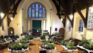 2026 Erie County Master Gardener Plant Sale