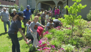 Students bring colorful boost to Scranton with flowers