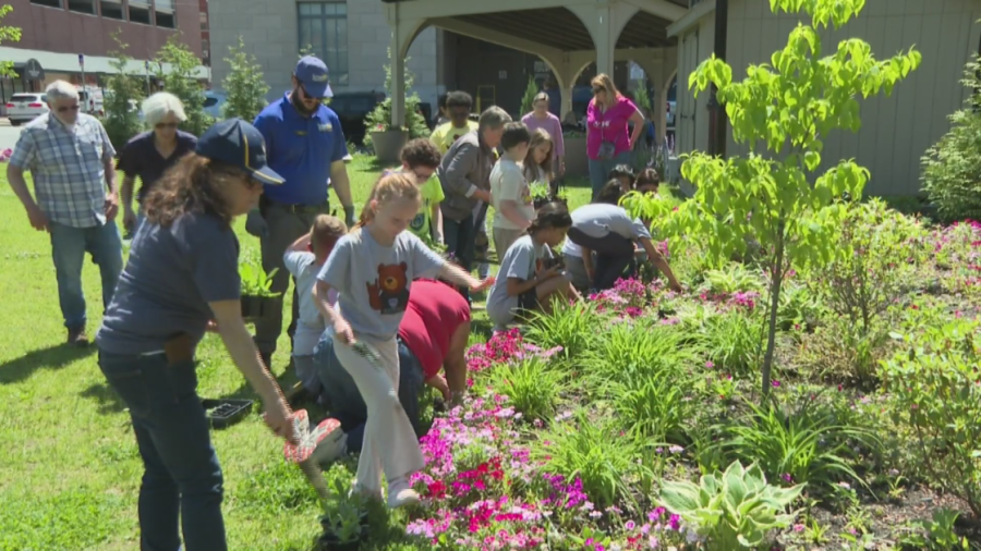 Students bring colorful boost to Scranton with flowers
