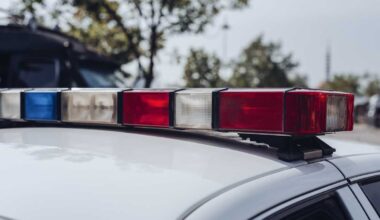 Traffic stop leads ICE agents to Robinson diner; three taken into custody