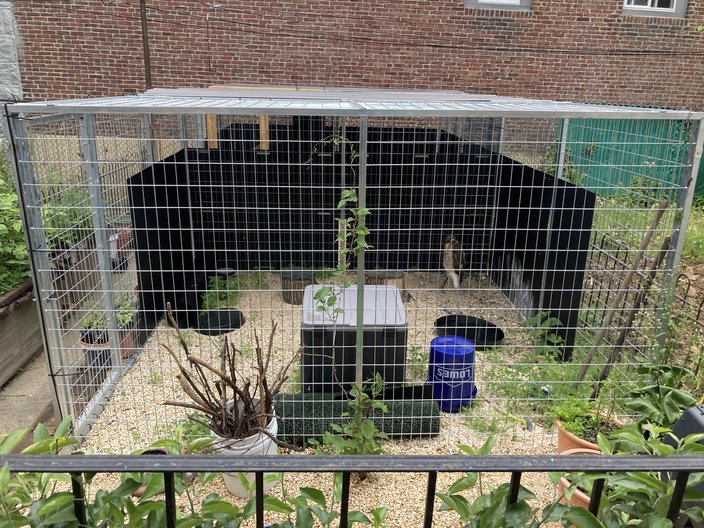 Raptor Jawns Enclosure