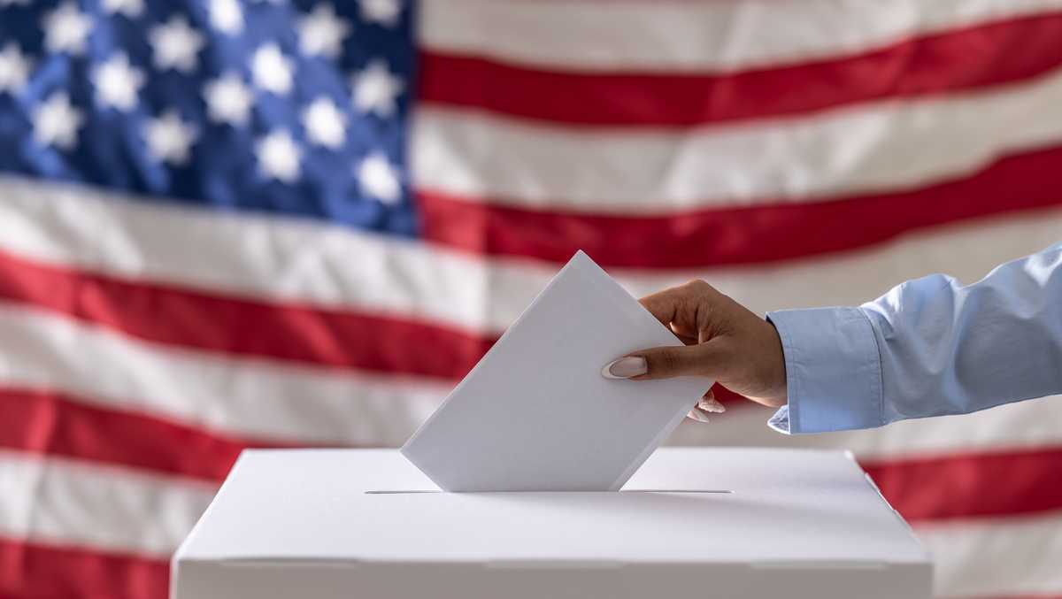 Voters guide to cast ballot