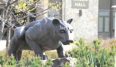 University of Pittsburgh launches tuition-free program at regional campuses for eligible students | Local News