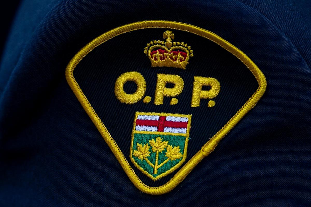 Bodies of child, adult pulled from Lake Erie after being reported overdue: OPP