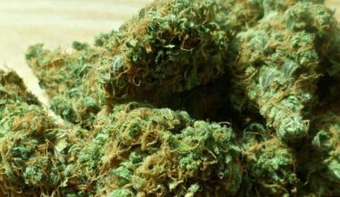 Norco DA: NY man charged after troopers find around 40 pounds of marijuana in vehicle | New York News Headlines