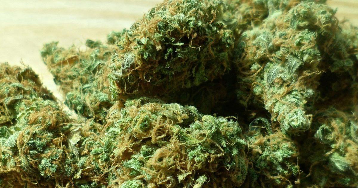 Norco DA: NY man charged after troopers find around 40 pounds of marijuana in vehicle | New York News Headlines