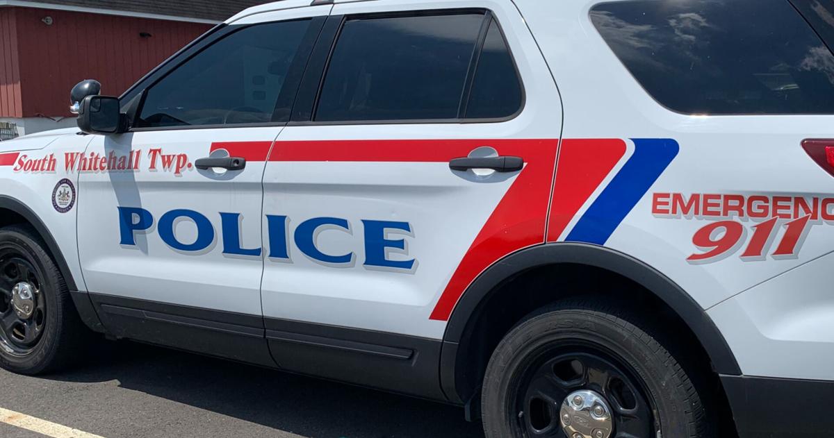 Bear nabbed near soccer fields in South Whitehall Twp., will be relocated to wooded habitat | Allentown Area