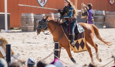 Pennsylvania Renaissance Faire sold to national investment firm; longtime owners to keep managing event | Local Business