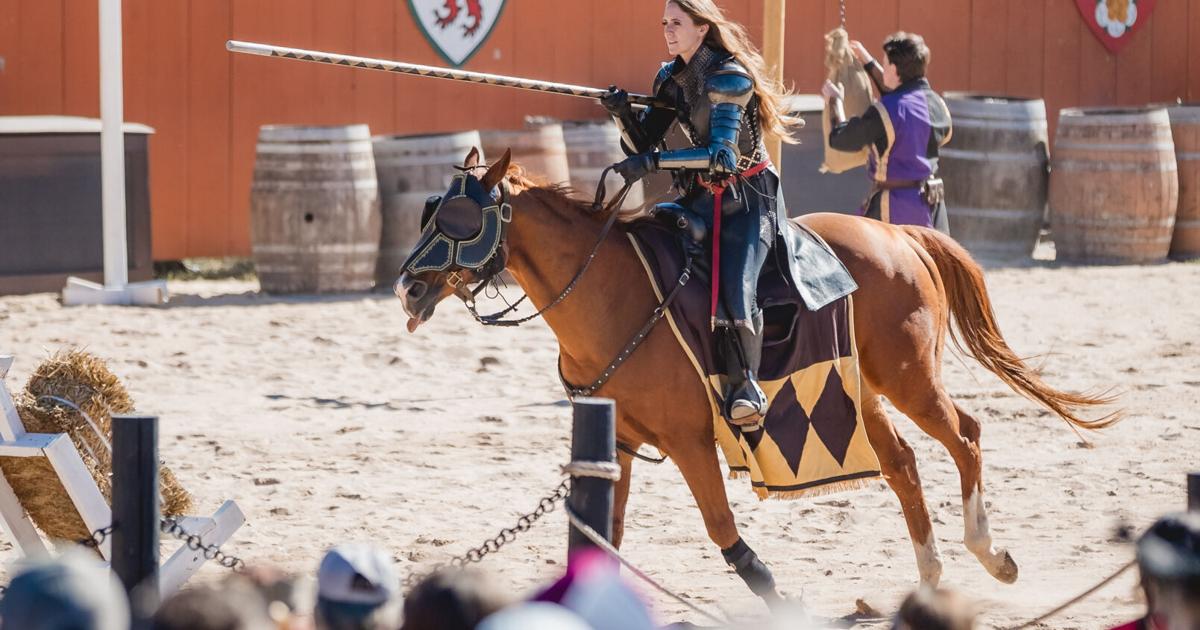 Pennsylvania Renaissance Faire sold to national investment firm; longtime owners to keep managing event | Local Business