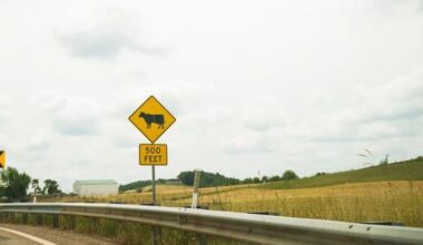 Farmland prime for data centers, but at what cost? | Pennsylvania
