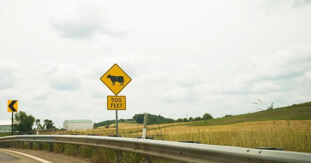 Farmland prime for data centers, but at what cost? | Pennsylvania