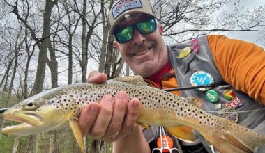 Pennsylvania streams home to plenty of brown trout, but none that are 'native' [column] | Outdoors