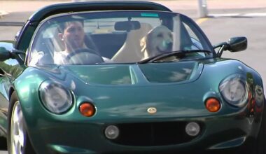 Paws and Pistons event brings together cars, pets, and community for a cause | Allentown Area