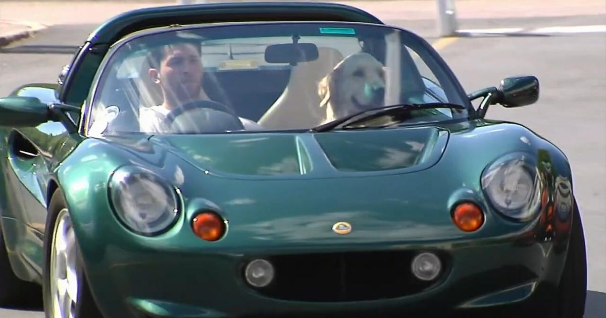 Paws and Pistons event brings together cars, pets, and community for a cause | Allentown Area