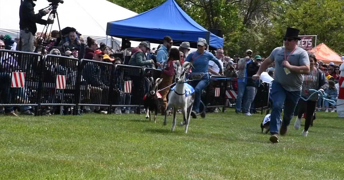 Sly Fox brewery's Bock Fest and goat race draws crowds for German-themed festivities | Upper Montgomery County
