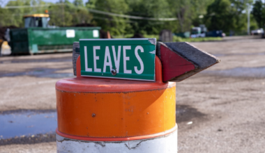Millcreek Township Launches Spring Clean Initiative | News