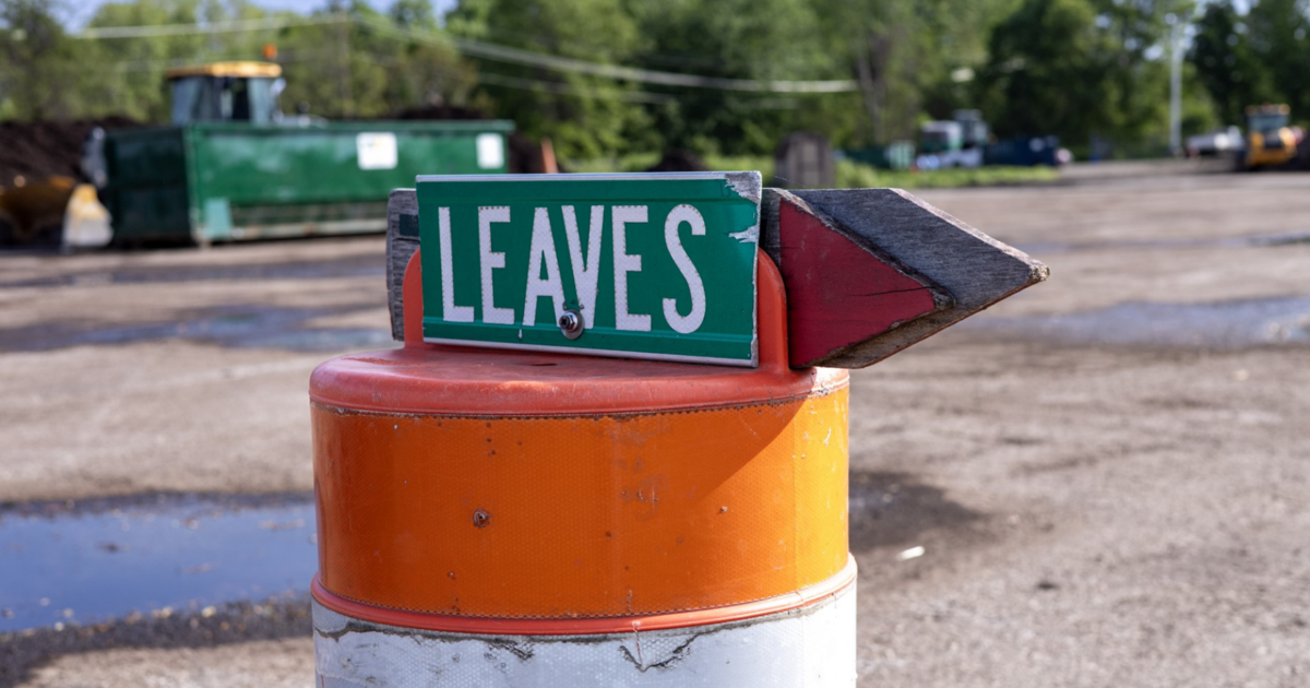 Millcreek Township Launches Spring Clean Initiative | News
