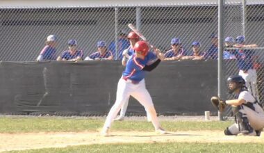 Wilson WL baseball rolls past Liberty in Berks/EPC clash | Sports