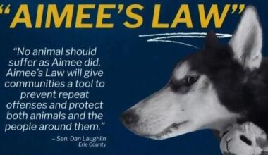 Erie Lawmaker Introduces “Aimee’s Law” Targeting Animal Abuse | News