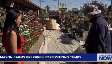 Late-Season Cold Snap Threatens Erie County Crops and Flowers | News