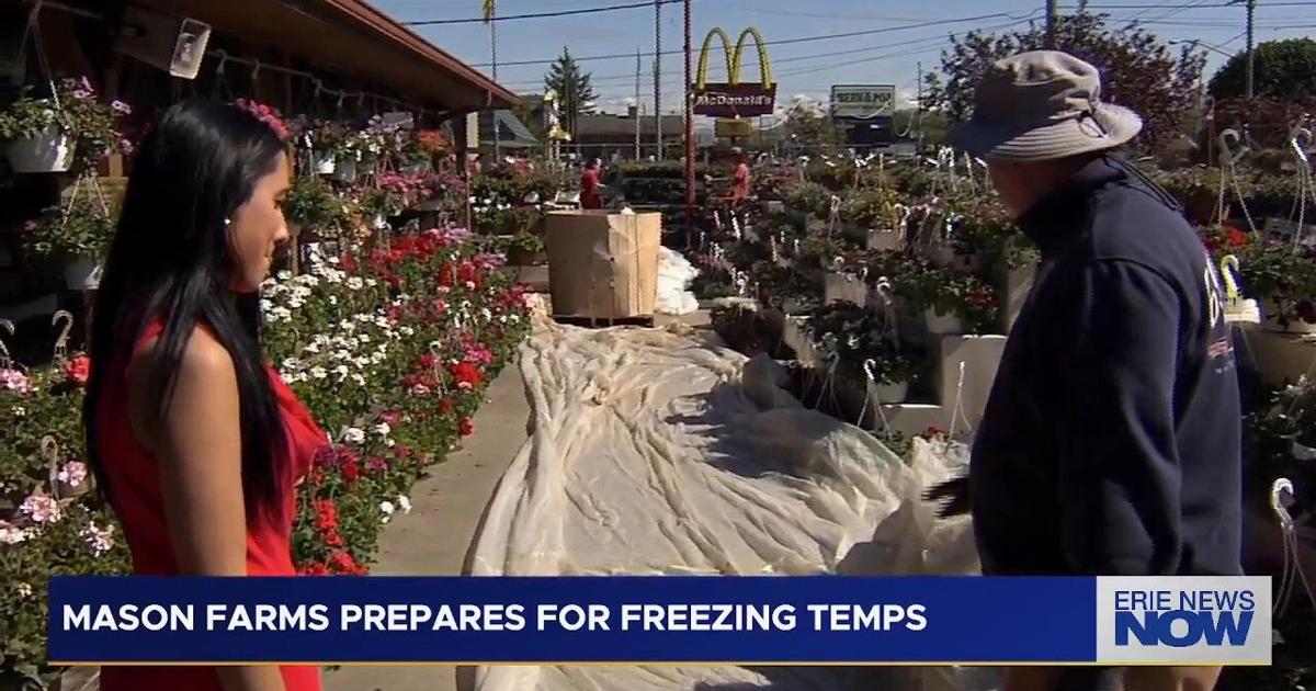 Late-Season Cold Snap Threatens Erie County Crops and Flowers | News