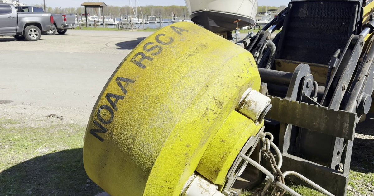 Buoy Network Deployed on Lake Erie for Summer Season | News