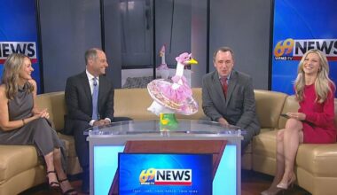 Social media brings back popularity of porch geese as decorative trend for homes | Video