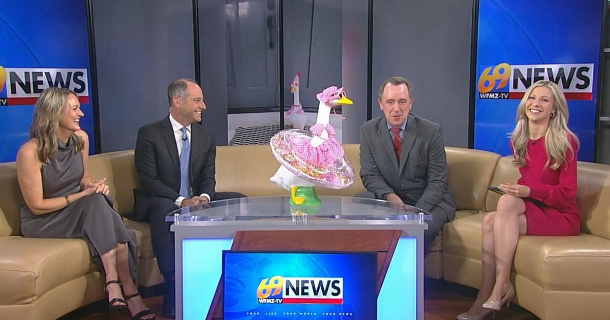Social media brings back popularity of porch geese as decorative trend for homes | Video
