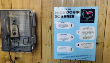 Erie’s First Public Microchip Scanner for Lost Pets | News