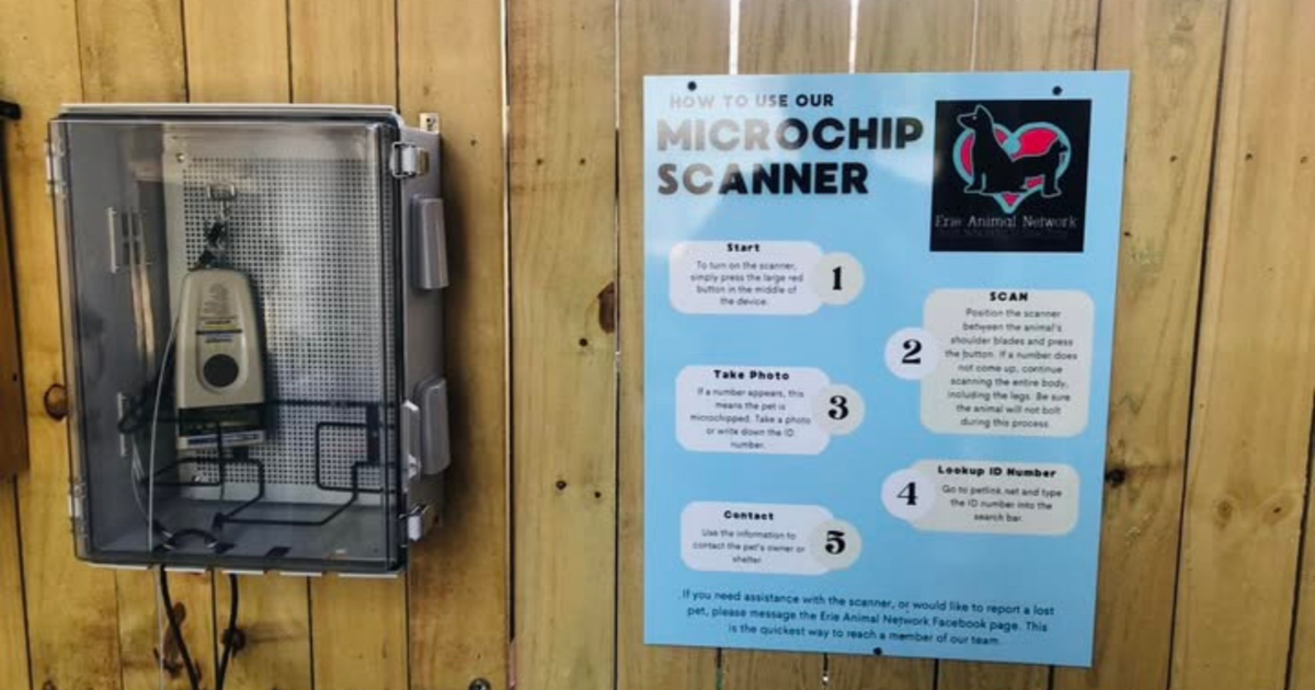 Erie’s First Public Microchip Scanner for Lost Pets | News