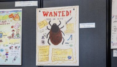 Erie Student Places Second for Lyme Disease Art Competition | News