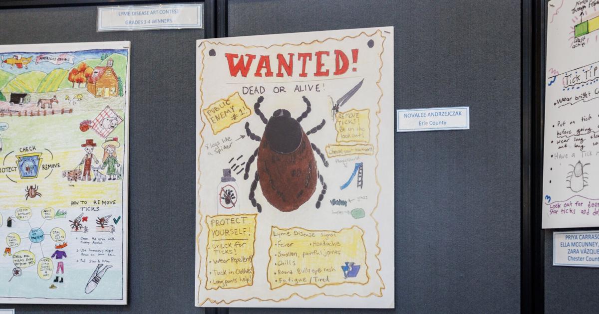 Erie Student Places Second for Lyme Disease Art Competition | News