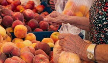 Free farmers market vouchers return for eligible Northampton County seniors | Northampton County