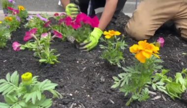 Allentown School District's first Serve Day unites community for school improvements | Allentown Area