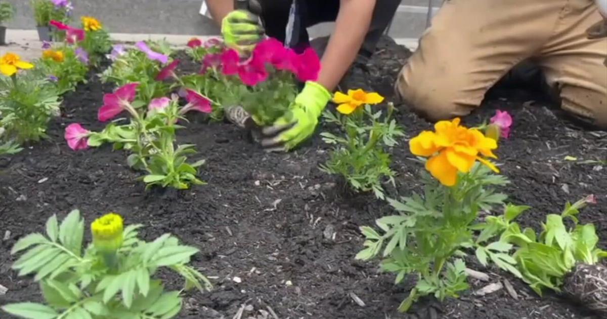 Allentown School District's first Serve Day unites community for school improvements | Allentown Area