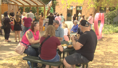 Felines and Wines Event Draw Crowd at Erie Zoo | Local News